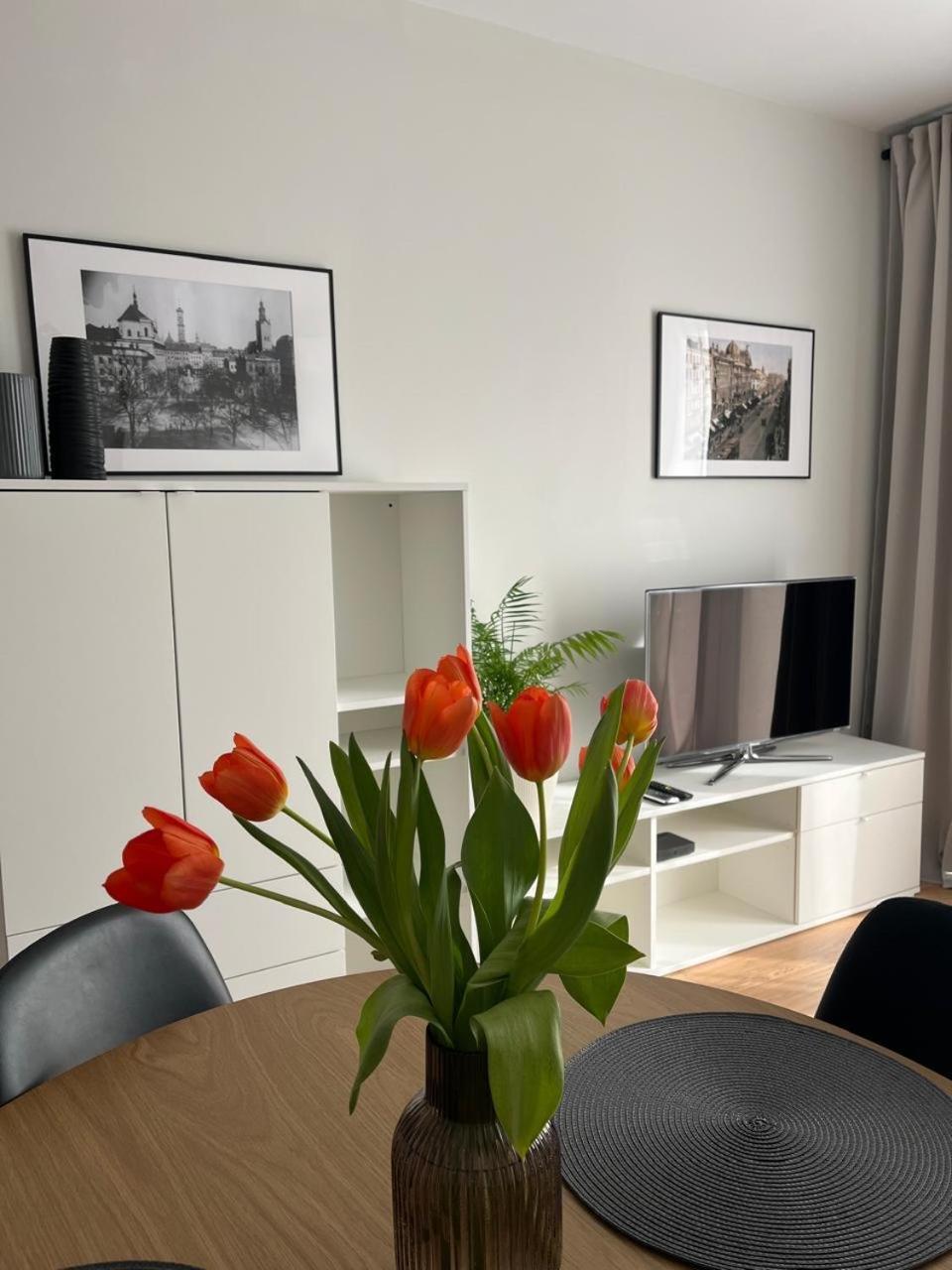 Metro Art Scandic Apartment Warsaw